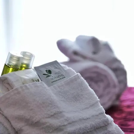 Domus Viatoris בית הארחה