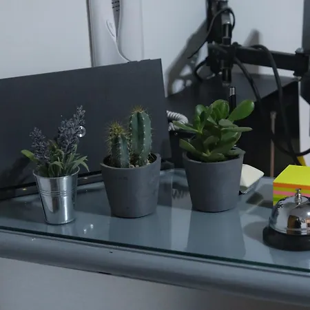 Domus Viatoris בית הארחה